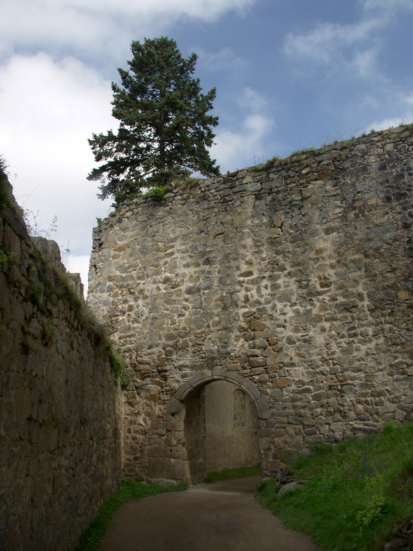 Zvikov